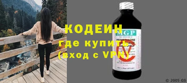 индика Нея