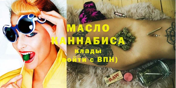 индика Нея