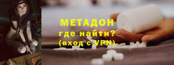 индика Нея