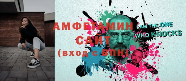 индика Нея