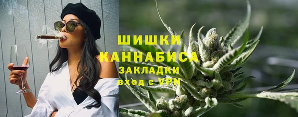 индика Нея