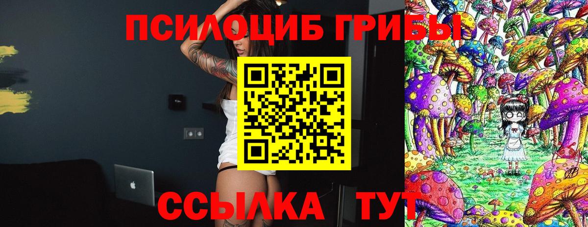 Галлюциногенные грибы Cubensis Новоуральск